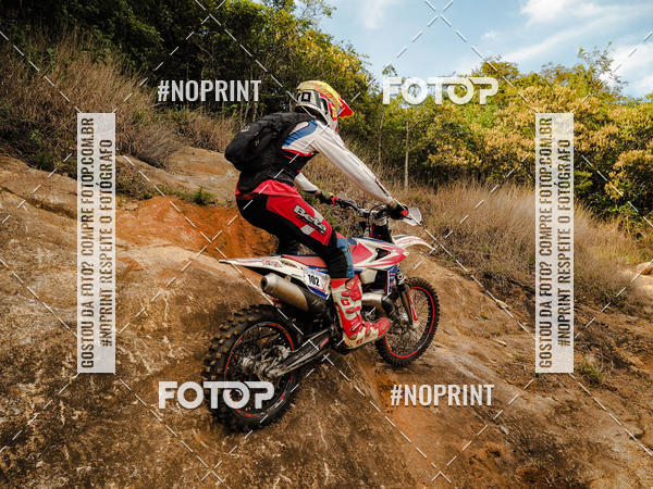 Buy your photos of the eventKing OFF Jungle 2019 on Fotop