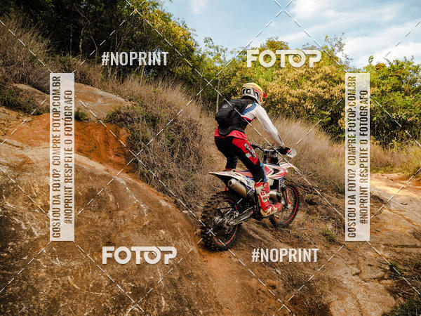 Buy your photos of the eventKing OFF Jungle 2019 on Fotop