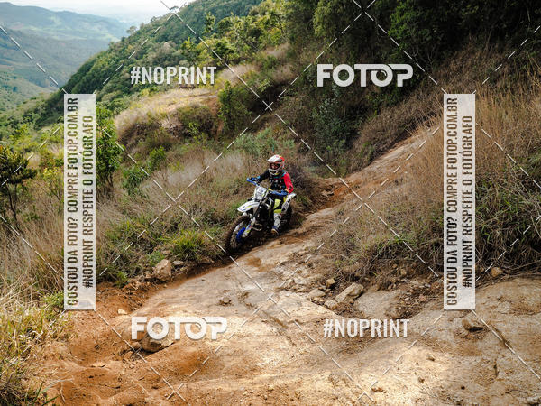 Buy your photos of the eventKing OFF Jungle 2019 on Fotop