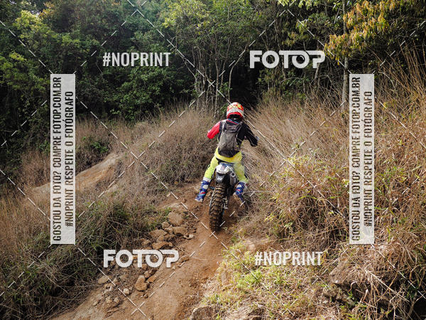 Buy your photos of the eventKing OFF Jungle 2019 on Fotop