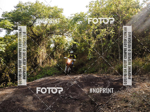 Buy your photos of the eventKing OFF Jungle 2019 on Fotop