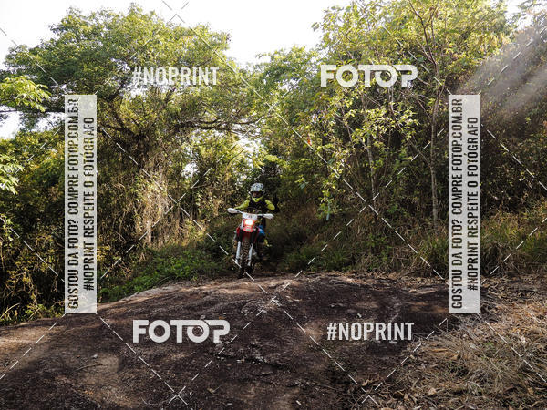 Buy your photos of the eventKing OFF Jungle 2019 on Fotop