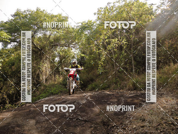 Buy your photos of the eventKing OFF Jungle 2019 on Fotop