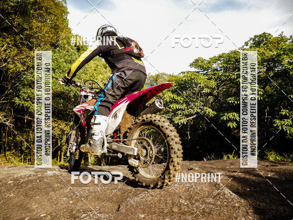 Buy your photos of the eventKing OFF Jungle 2019 on Fotop