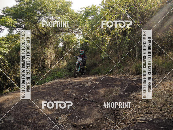 Buy your photos of the eventKing OFF Jungle 2019 on Fotop