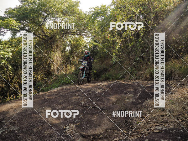 Buy your photos of the eventKing OFF Jungle 2019 on Fotop