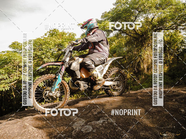 Buy your photos of the eventKing OFF Jungle 2019 on Fotop