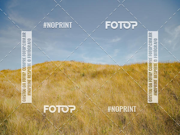 Buy your photos of the eventKing OFF Jungle 2019 on Fotop