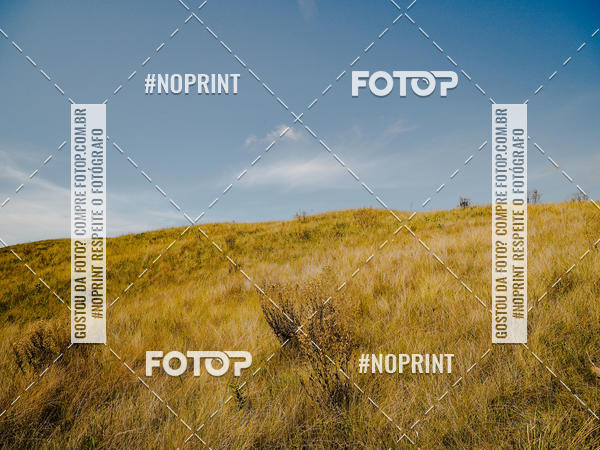 Buy your photos of the eventKing OFF Jungle 2019 on Fotop