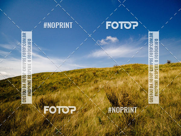 Buy your photos of the eventKing OFF Jungle 2019 on Fotop