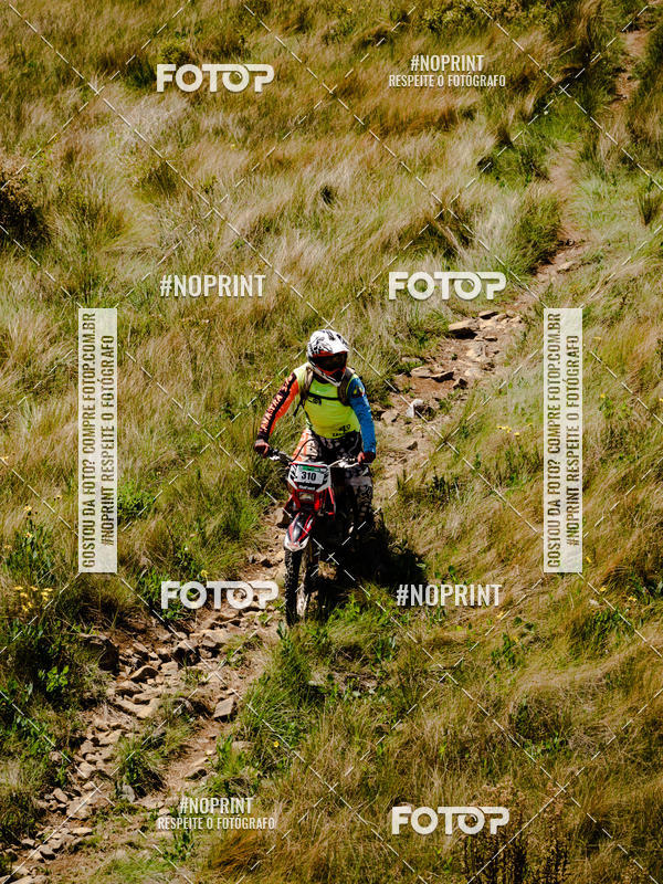 Buy your photos of the eventKing OFF Jungle 2019 on Fotop