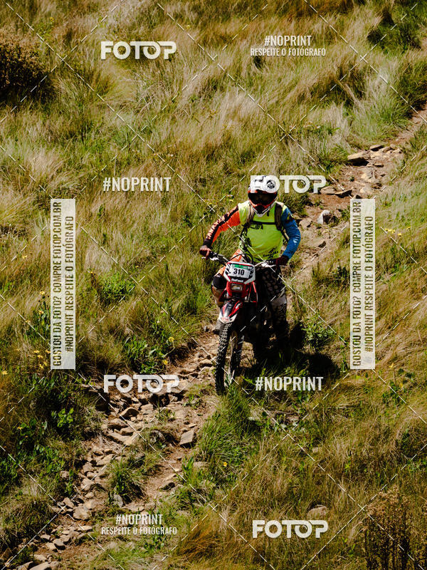 Buy your photos of the eventKing OFF Jungle 2019 on Fotop