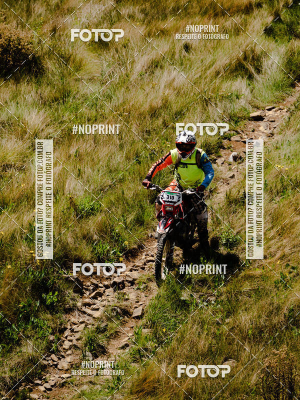 Buy your photos of the eventKing OFF Jungle 2019 on Fotop