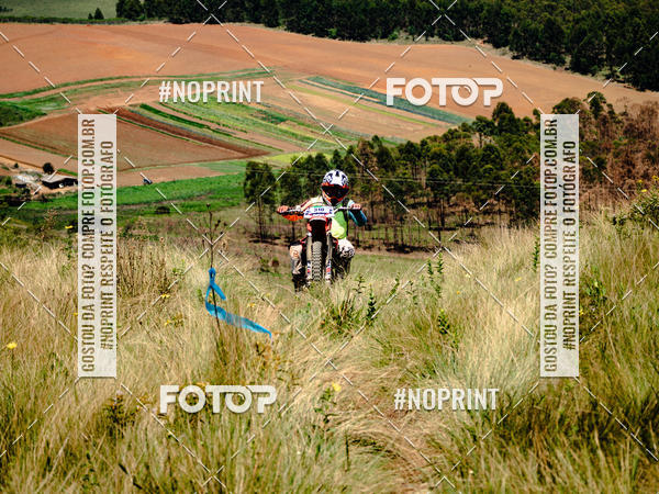 Buy your photos of the eventKing OFF Jungle 2019 on Fotop