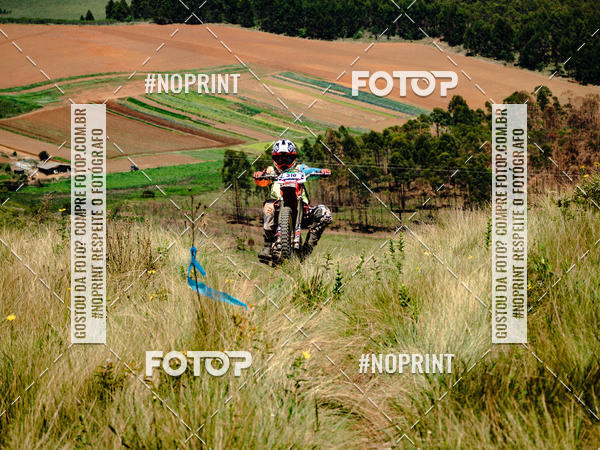 Buy your photos of the eventKing OFF Jungle 2019 on Fotop