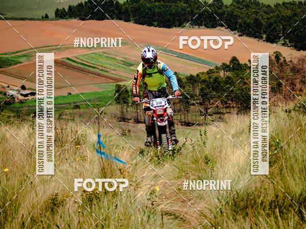 Buy your photos of the eventKing OFF Jungle 2019 on Fotop