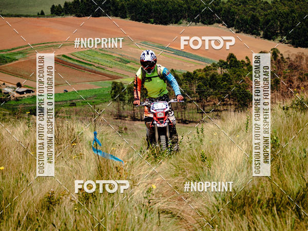 Buy your photos of the eventKing OFF Jungle 2019 on Fotop