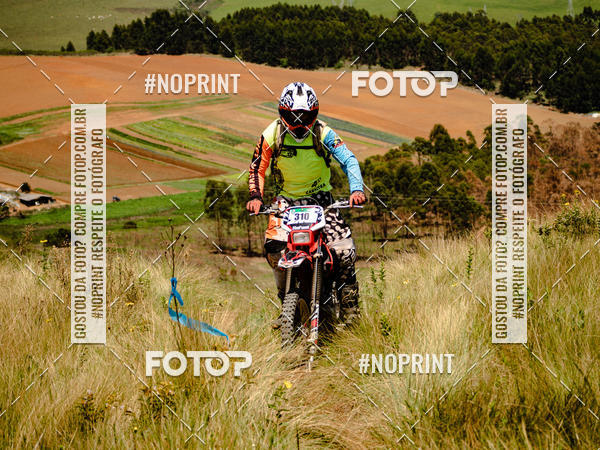 Buy your photos of the eventKing OFF Jungle 2019 on Fotop