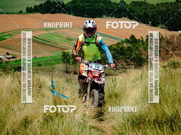 Buy your photos of the eventKing OFF Jungle 2019 on Fotop