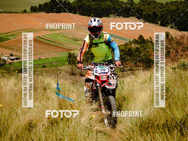 Buy your photos of the eventKing OFF Jungle 2019 on Fotop