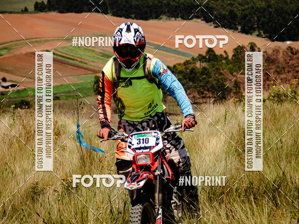 Buy your photos of the eventKing OFF Jungle 2019 on Fotop