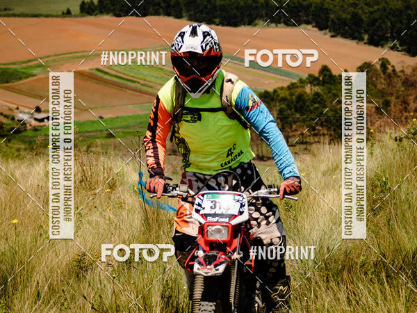 Buy your photos of the eventKing OFF Jungle 2019 on Fotop