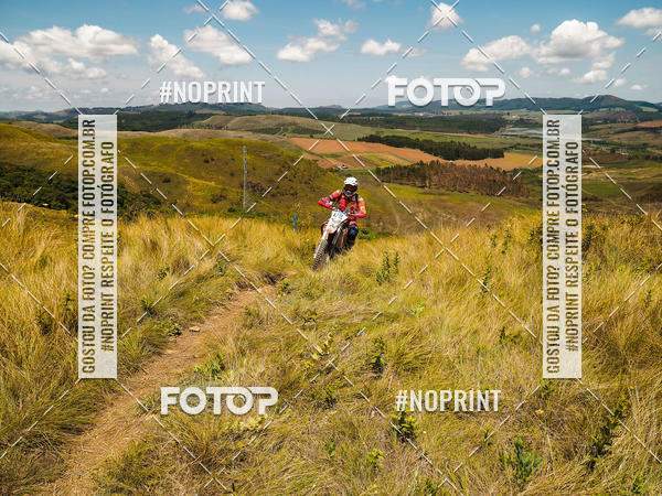 Buy your photos of the eventKing OFF Jungle 2019 on Fotop