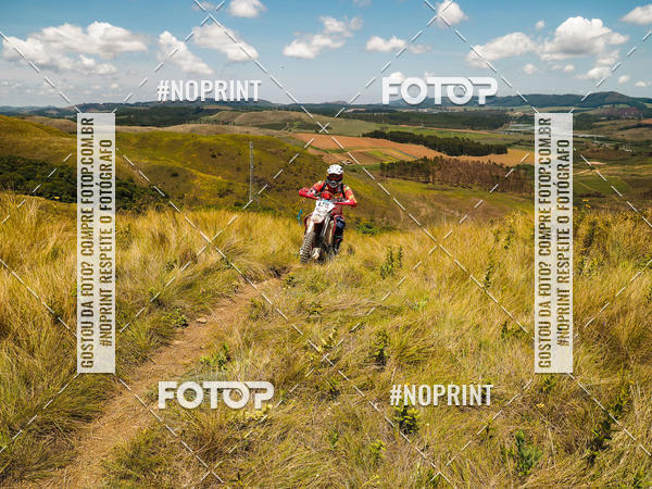 Buy your photos of the eventKing OFF Jungle 2019 on Fotop