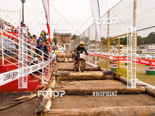 Buy your photos of the eventKing OFF Jungle 2019 on Fotop