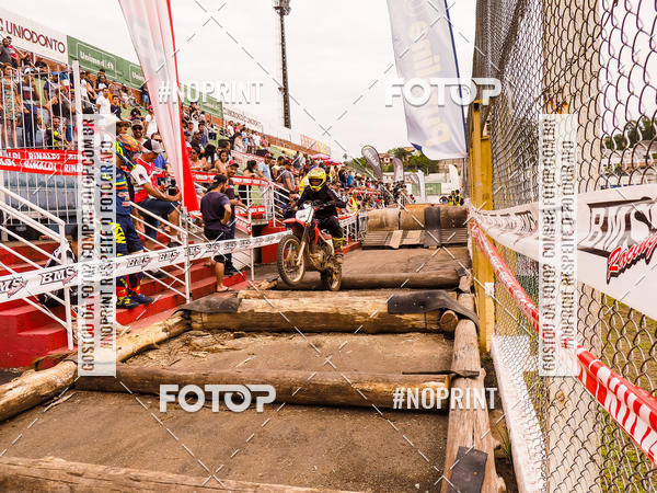 Buy your photos of the eventKing OFF Jungle 2019 on Fotop