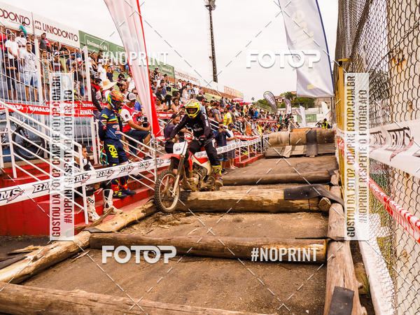 Buy your photos of the eventKing OFF Jungle 2019 on Fotop