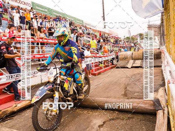 Buy your photos of the eventKing OFF Jungle 2019 on Fotop