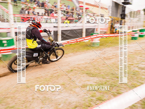 Buy your photos of the eventKing OFF Jungle 2019 on Fotop