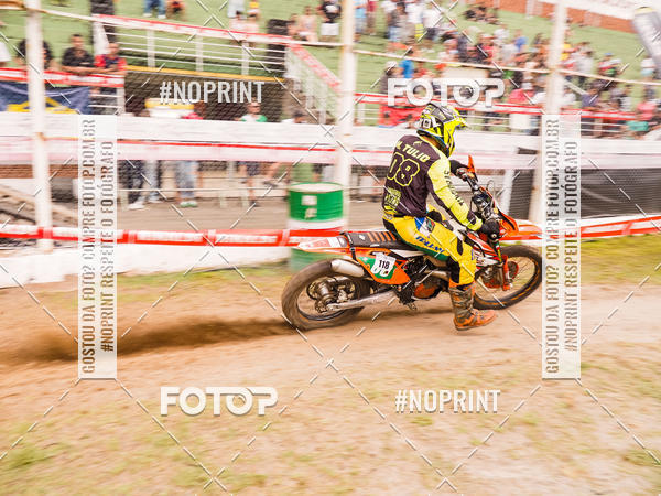 Buy your photos of the eventKing OFF Jungle 2019 on Fotop