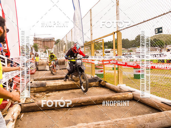 Buy your photos of the eventKing OFF Jungle 2019 on Fotop