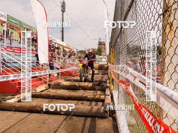 Buy your photos of the eventKing OFF Jungle 2019 on Fotop