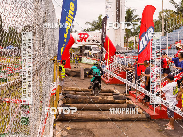 Buy your photos of the eventKing OFF Jungle 2019 on Fotop