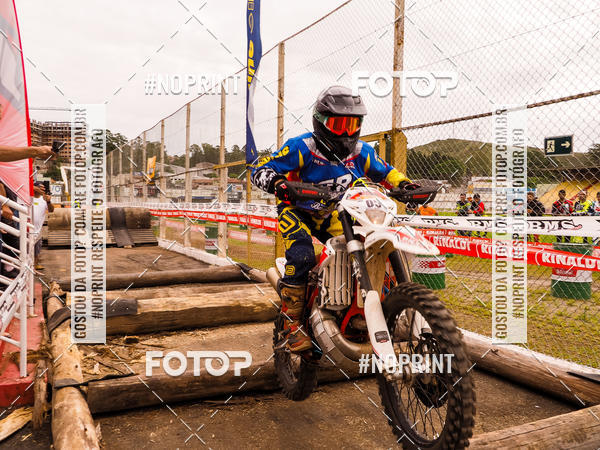 Buy your photos of the eventKing OFF Jungle 2019 on Fotop