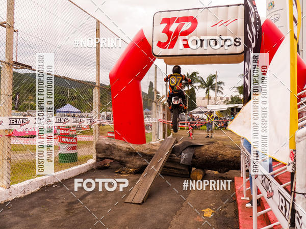 Buy your photos of the eventKing OFF Jungle 2019 on Fotop