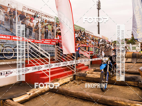 Buy your photos of the eventKing OFF Jungle 2019 on Fotop