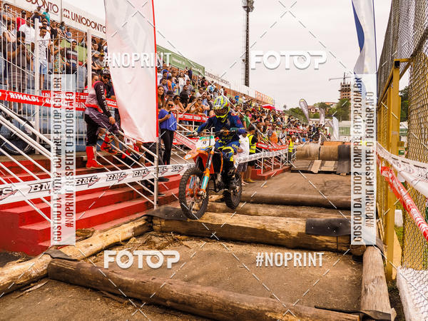 Buy your photos of the eventKing OFF Jungle 2019 on Fotop