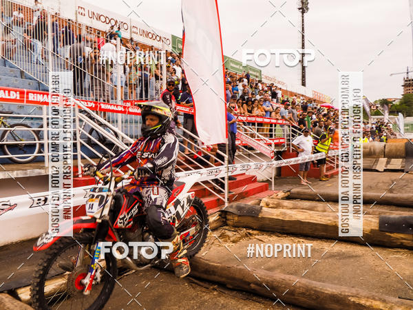 Buy your photos of the eventKing OFF Jungle 2019 on Fotop