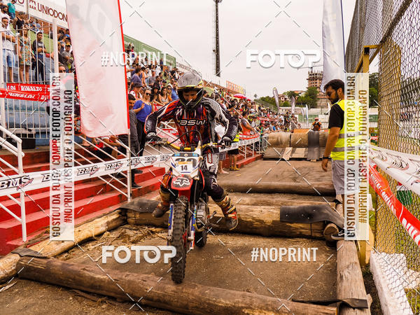 Buy your photos of the eventKing OFF Jungle 2019 on Fotop