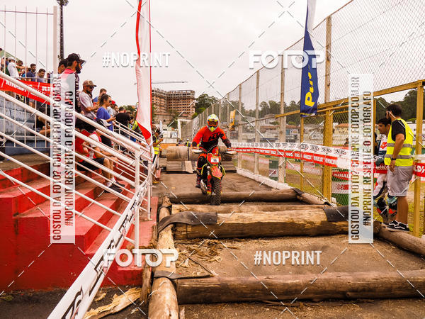 Buy your photos of the eventKing OFF Jungle 2019 on Fotop