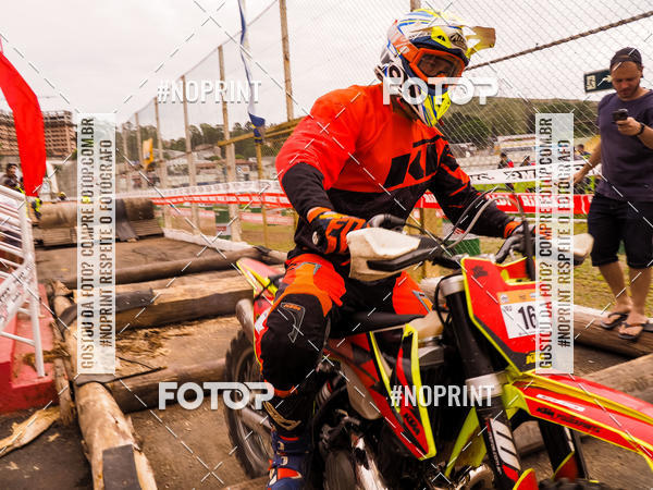 Buy your photos of the eventKing OFF Jungle 2019 on Fotop