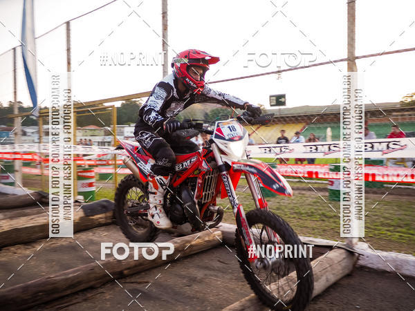 Buy your photos of the eventKing OFF Jungle 2019 on Fotop