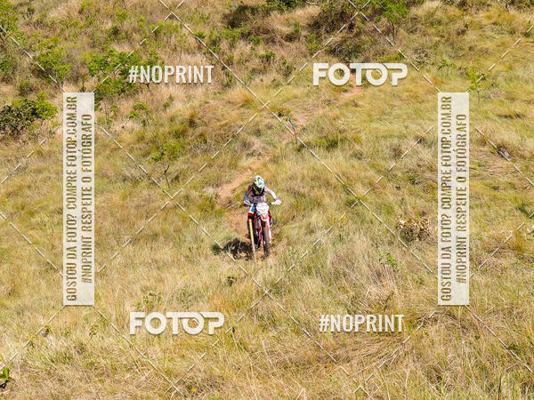 Buy your photos of the eventKing OFF Jungle 2019 on Fotop