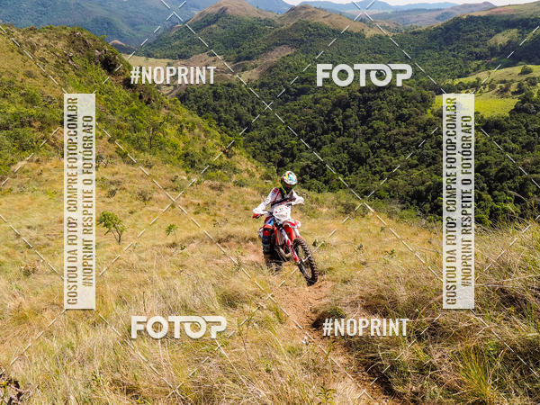 Buy your photos of the eventKing OFF Jungle 2019 on Fotop