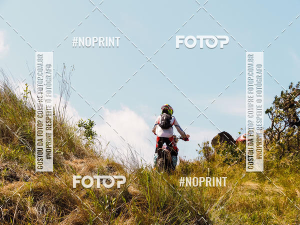 Buy your photos of the eventKing OFF Jungle 2019 on Fotop