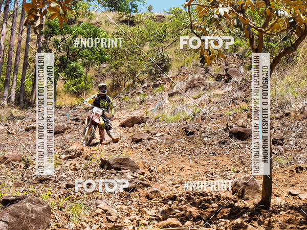 Buy your photos of the eventKing OFF Jungle 2019 on Fotop